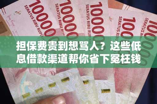 北京担保费贵到想骂人？这些低息借款渠道帮你省下冤枉钱