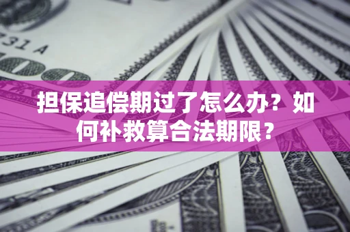 北京担保追偿期过了怎么办？如何补救算合法期限？