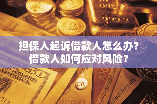 北京担保人起诉借款人怎么办？借款人如何应对风险？
