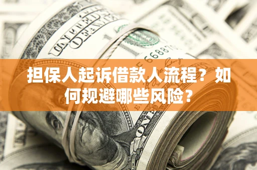 北京担保人起诉借款人流程？如何规避哪些风险？