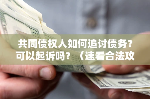 北京共同债权人如何追讨债务？可以起诉吗？（速看合法攻略）